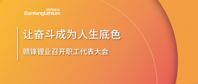 新利官方网站锂业召开职工代表大会 坚持向奋斗者倾斜更多资源