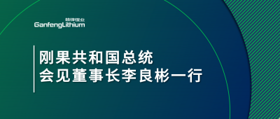 刚果共和国总统会见新利官方网站锂业董事长李良彬一行